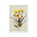 Picture of Dried Flowers with Outline II  _GroupedProduct_Rectangle_Portrait_Framed_Matted_