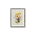 Picture of Dried Flowers with Outline II  _GroupedProduct_Rectangle_Portrait_Framed_Matted_