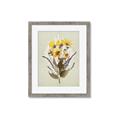Picture of Dried Flowers with Outline II  _GroupedProduct_Rectangle_Portrait_Framed_Matted_