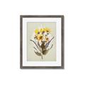 Picture of Dried Flowers with Outline II  _GroupedProduct_Rectangle_Portrait_Framed_Matted_