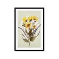 Picture of Dried Flowers with Outline II  _GroupedProduct_Rectangle_Portrait_Framed_Matted_