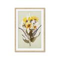 Picture of Dried Flowers with Outline II  _GroupedProduct_Rectangle_Portrait_Framed_Matted_