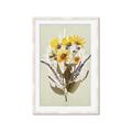 Picture of Dried Flowers with Outline II  _GroupedProduct_Rectangle_Portrait_Framed_Matted_