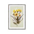 Picture of Dried Flowers with Outline II  _GroupedProduct_Rectangle_Portrait_Framed_Matted_
