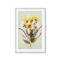 Picture of Dried Flowers with Outline II  _GroupedProduct_Rectangle_Portrait_Framed_Matted_