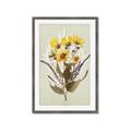 Picture of Dried Flowers with Outline II  _GroupedProduct_Rectangle_Portrait_Framed_Matted_