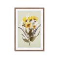 Picture of Dried Flowers with Outline II  _GroupedProduct_Rectangle_Portrait_Framed_Matted_