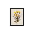 Picture of Dried Flowers II  _GroupedProduct_Rectangle_Portrait_Framed_Matted_