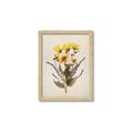 Picture of Dried Flowers II  _GroupedProduct_Rectangle_Portrait_Framed_Matted_