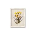 Picture of Dried Flowers II  _GroupedProduct_Rectangle_Portrait_Framed_Matted_