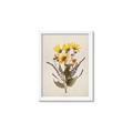 Picture of Dried Flowers II  _GroupedProduct_Rectangle_Portrait_Framed_Matted_