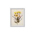 Picture of Dried Flowers II  _GroupedProduct_Rectangle_Portrait_Framed_Matted_
