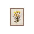 Picture of Dried Flowers II  _GroupedProduct_Rectangle_Portrait_Framed_Matted_