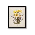 Picture of Dried Flowers II  _GroupedProduct_Rectangle_Portrait_Framed_Matted_
