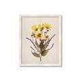 Picture of Dried Flowers II  _GroupedProduct_Rectangle_Portrait_Framed_Matted_