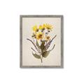 Picture of Dried Flowers II  _GroupedProduct_Rectangle_Portrait_Framed_Matted_