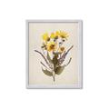Picture of Dried Flowers II  _GroupedProduct_Rectangle_Portrait_Framed_Matted_