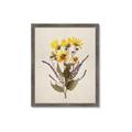 Picture of Dried Flowers II  _GroupedProduct_Rectangle_Portrait_Framed_Matted_