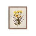 Picture of Dried Flowers II  _GroupedProduct_Rectangle_Portrait_Framed_Matted_