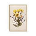 Picture of Dried Flowers II  _GroupedProduct_Rectangle_Portrait_Framed_Matted_