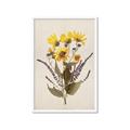 Picture of Dried Flowers II  _GroupedProduct_Rectangle_Portrait_Framed_Matted_