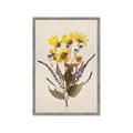 Picture of Dried Flowers II  _GroupedProduct_Rectangle_Portrait_Framed_Matted_