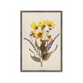 Picture of Dried Flowers II  _GroupedProduct_Rectangle_Portrait_Framed_Matted_