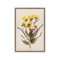 Picture of Dried Flowers II  _GroupedProduct_Rectangle_Portrait_Framed_Matted_