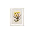 Picture of Dried Flowers II  _GroupedProduct_Rectangle_Portrait_Framed_Matted_