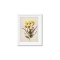 Picture of Dried Flowers II  _GroupedProduct_Rectangle_Portrait_Framed_Matted_
