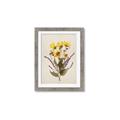 Picture of Dried Flowers II  _GroupedProduct_Rectangle_Portrait_Framed_Matted_