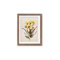 Picture of Dried Flowers II  _GroupedProduct_Rectangle_Portrait_Framed_Matted_