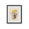 Picture of Dried Flowers II  _GroupedProduct_Rectangle_Portrait_Framed_Matted_