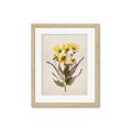 Picture of Dried Flowers II  _GroupedProduct_Rectangle_Portrait_Framed_Matted_