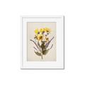 Picture of Dried Flowers II  _GroupedProduct_Rectangle_Portrait_Framed_Matted_