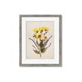 Picture of Dried Flowers II  _GroupedProduct_Rectangle_Portrait_Framed_Matted_