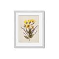 Picture of Dried Flowers II  _GroupedProduct_Rectangle_Portrait_Framed_Matted_