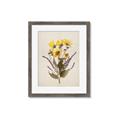 Picture of Dried Flowers II  _GroupedProduct_Rectangle_Portrait_Framed_Matted_