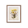 Picture of Dried Flowers II  _GroupedProduct_Rectangle_Portrait_Framed_Matted_