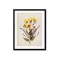 Picture of Dried Flowers II  _GroupedProduct_Rectangle_Portrait_Framed_Matted_