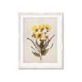 Picture of Dried Flowers II  _GroupedProduct_Rectangle_Portrait_Framed_Matted_