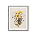 Picture of Dried Flowers II  _GroupedProduct_Rectangle_Portrait_Framed_Matted_