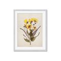 Picture of Dried Flowers II  _GroupedProduct_Rectangle_Portrait_Framed_Matted_