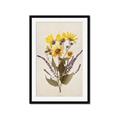 Picture of Dried Flowers II  _GroupedProduct_Rectangle_Portrait_Framed_Matted_