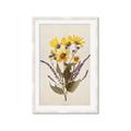 Picture of Dried Flowers II  _GroupedProduct_Rectangle_Portrait_Framed_Matted_