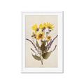 Picture of Dried Flowers II  _GroupedProduct_Rectangle_Portrait_Framed_Matted_