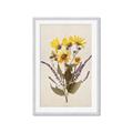 Picture of Dried Flowers II  _GroupedProduct_Rectangle_Portrait_Framed_Matted_