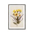 Picture of Dried Flowers II  _GroupedProduct_Rectangle_Portrait_Framed_Matted_