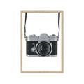 Picture of Vintage Camera  _GroupedProduct_Rectangle_Portrait_Framed_Matted_