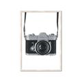 Picture of Vintage Camera  _GroupedProduct_Rectangle_Portrait_Framed_Matted_